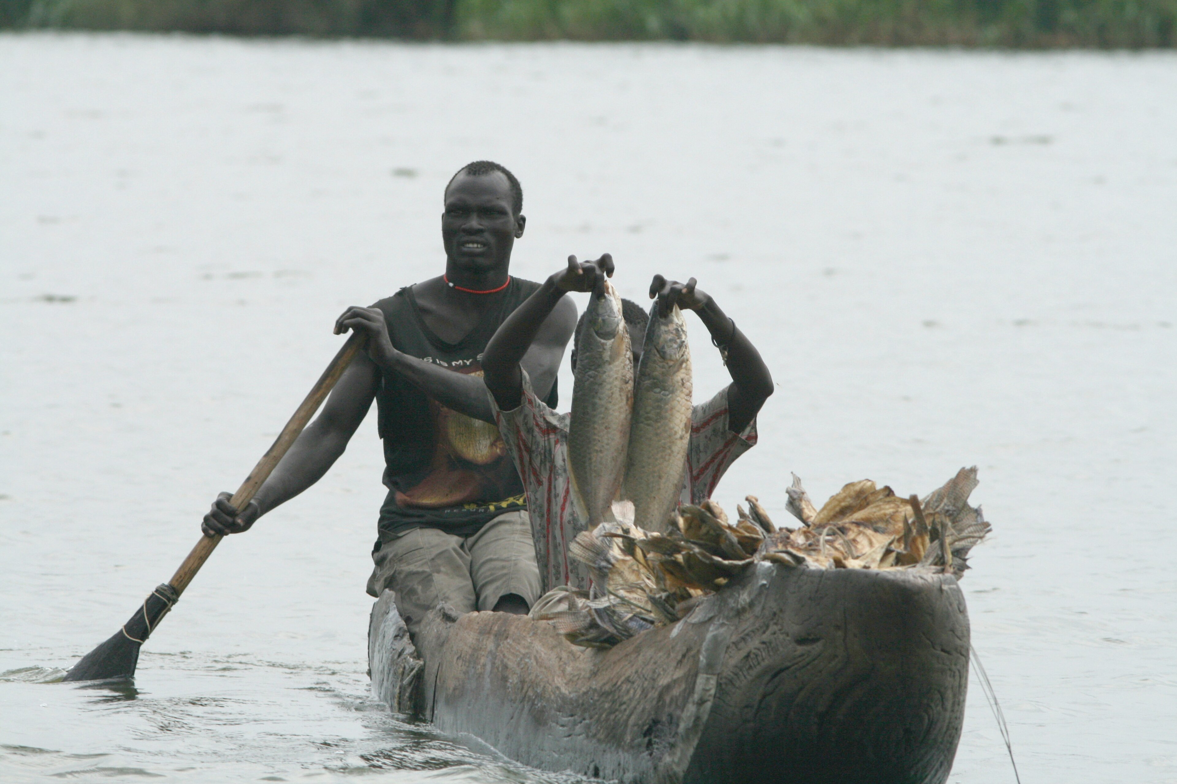 Fishing in the Sudd wetland, South Sudan: the swamp the canal was meant to shortcut, not a photograph of the unfinished cut