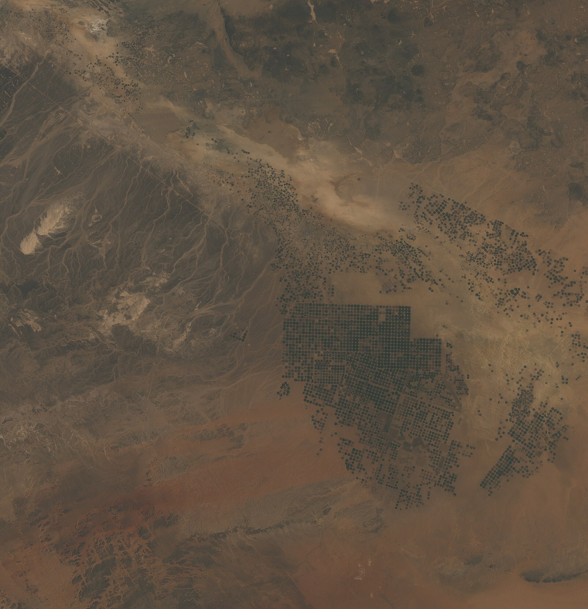 Center-pivot irrigation circles in Saudi Arabia: the older groundwater-agriculture landscape, shown here as context, not as SGI tree-planting