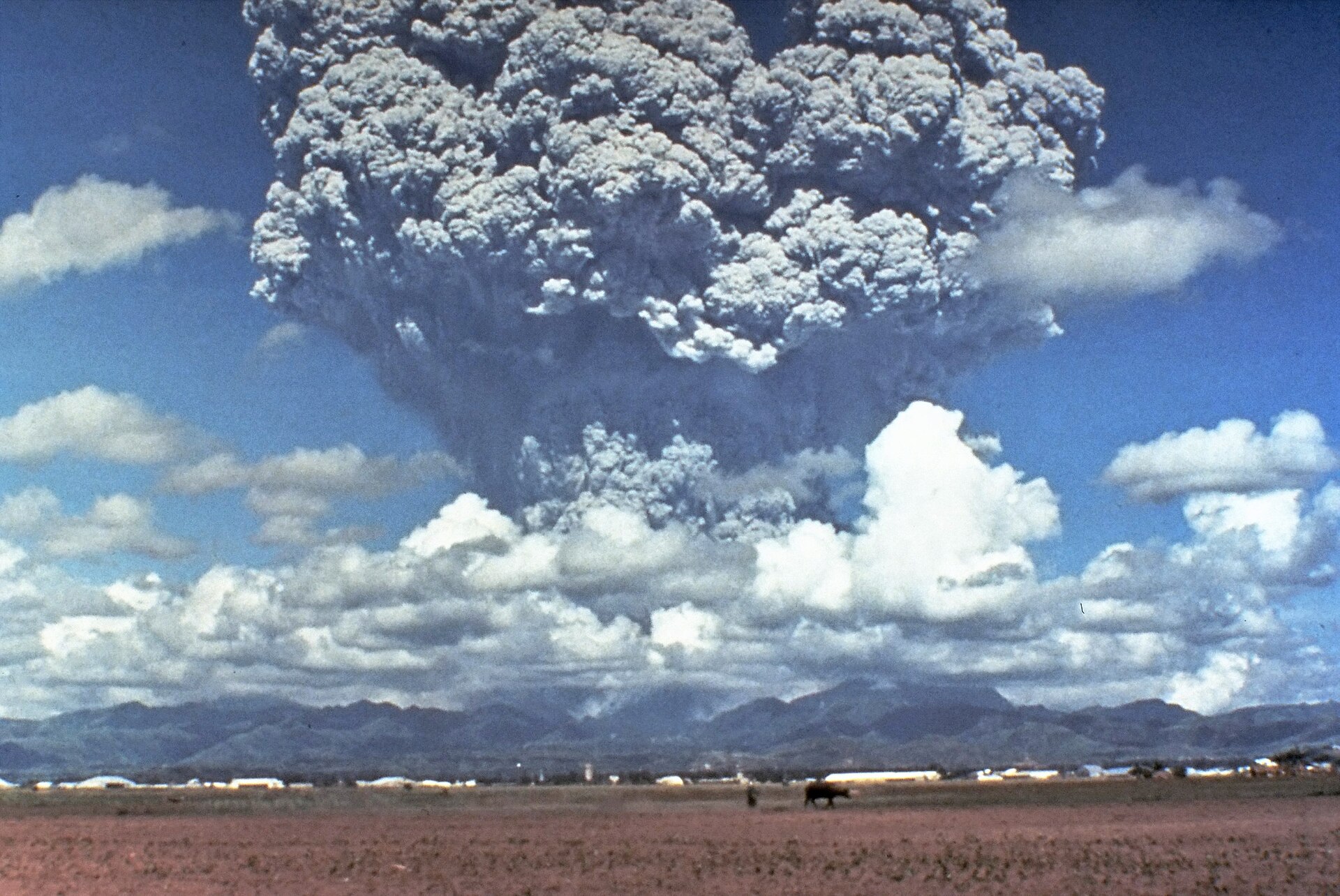 The 1991 Pinatubo eruption plume: the natural aerosol pulse SAI papers analogise, not an SAI deployment