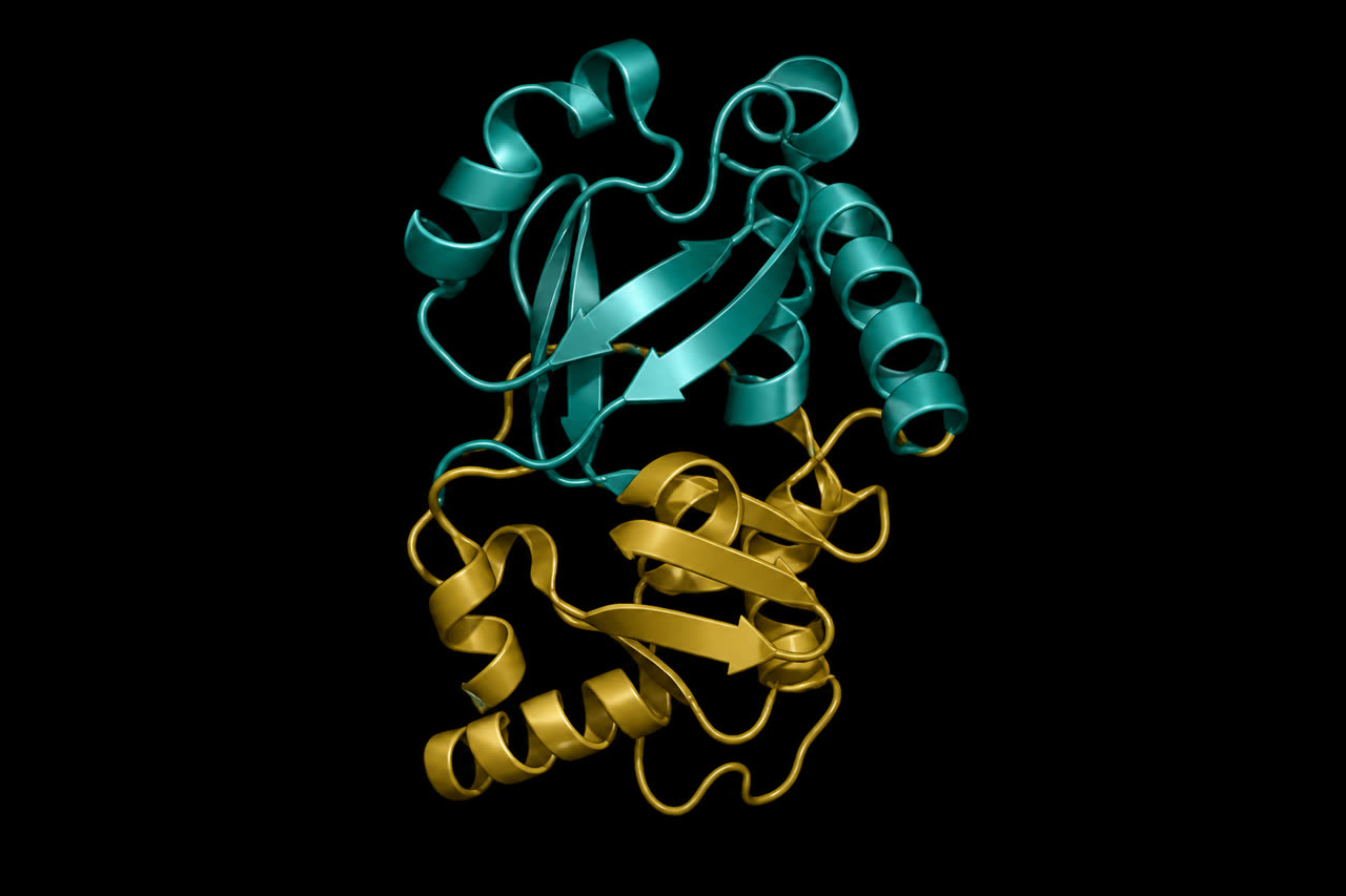 A protein ribbon diagram on a dark field — the class of structure these models predict