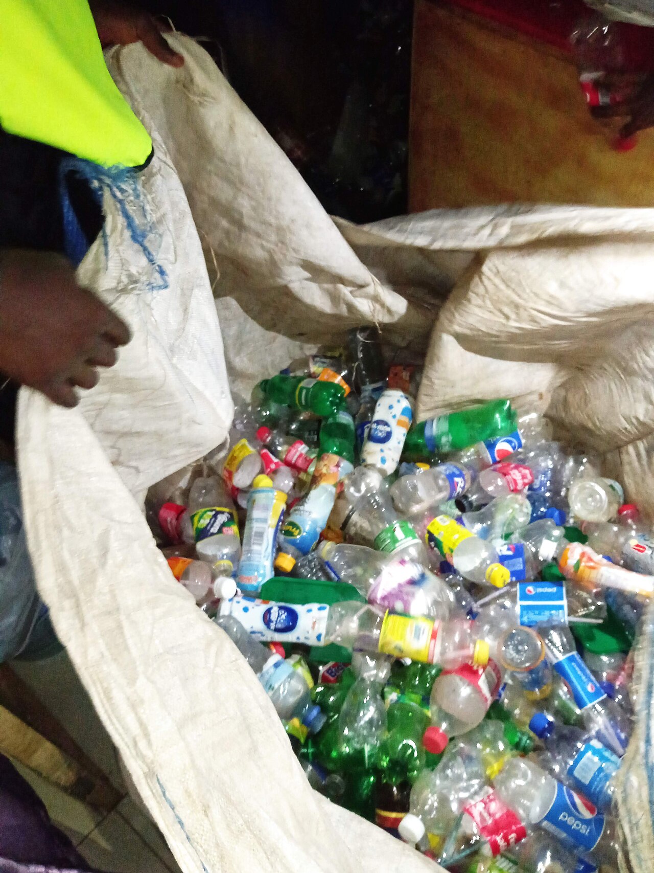 Collected PET bottles, the feedstock enzymatic recyclers want to depolymerize