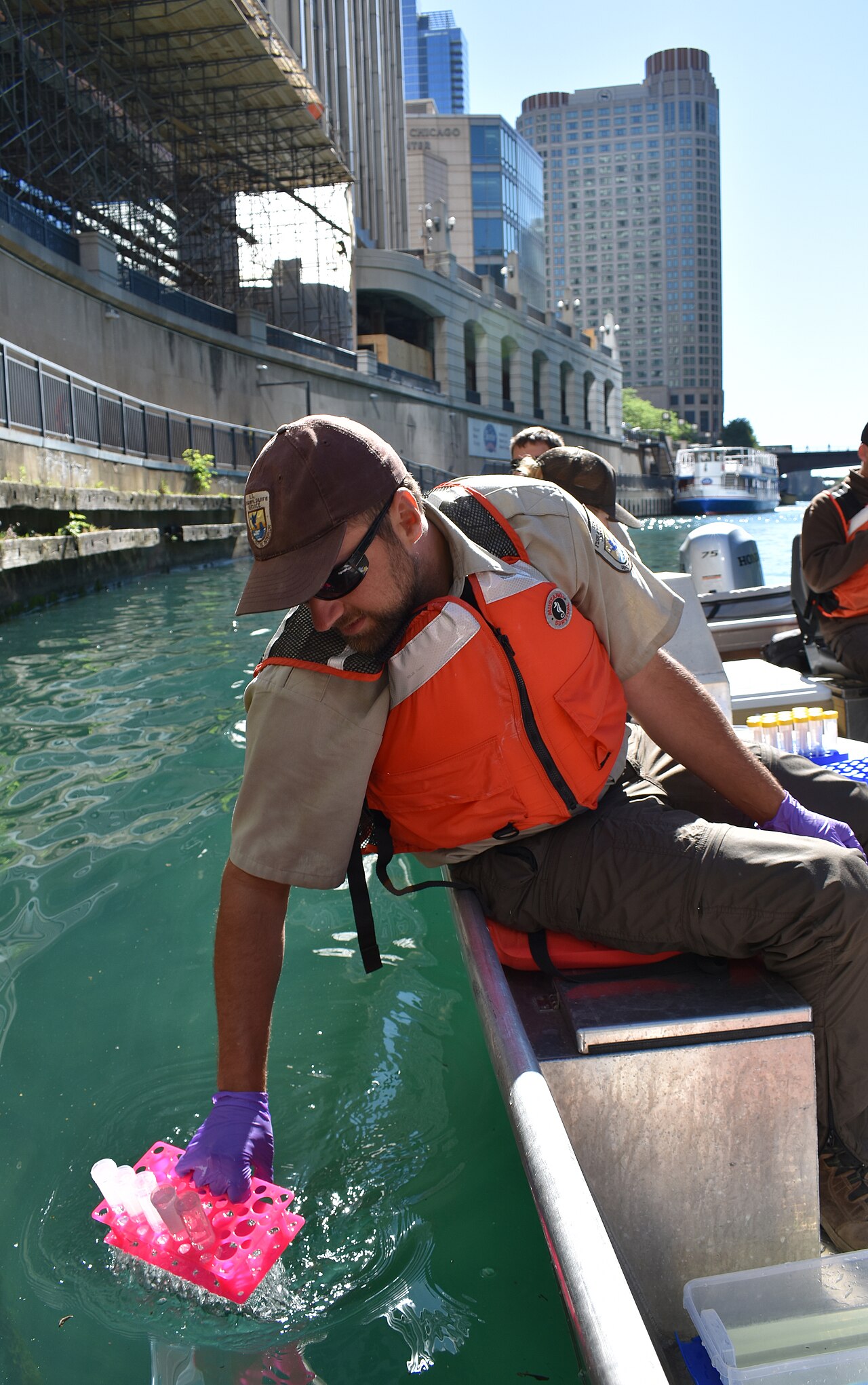 A biologist collects water samples for environmental DNA: the field step behind a species list, not a count of every animal in the river