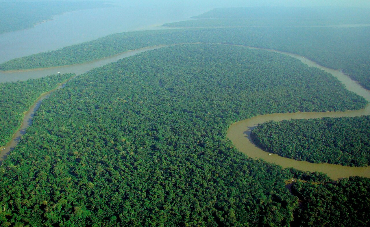 Aerial view of Amazon rainforest and river: the kind of living system ENCORE screens for dependencies and impacts, not a screenshot of the tool