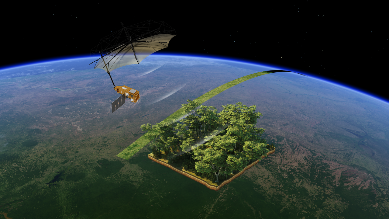 Artist view of ESA’s Biomass satellite over a forest canopy, the P-band mission that looks through trees to woody mass