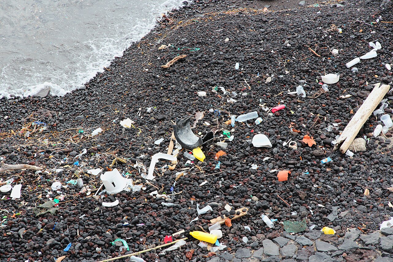 Plastic and other litter on an Atlantic shoreline: the debris class Sentinel-2 windrow maps track at sea, not a detection product from the 2024 paper