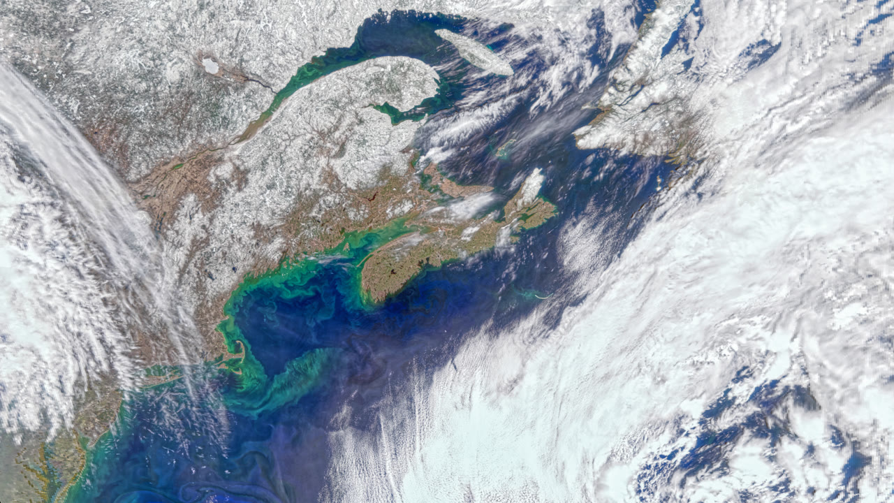 NASA visualization of ocean colour from the PACE Ocean Color Instrument: phytoplankton patterns, not a forest-biomass map and not a plastic inventory