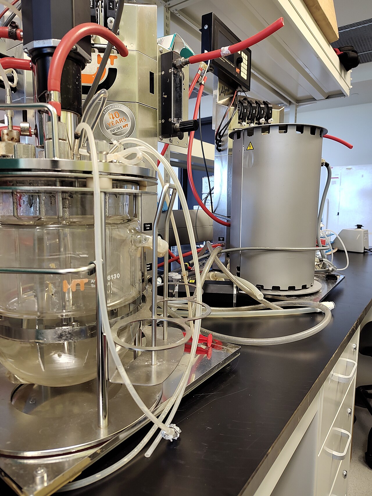 Stainless-steel laboratory bioreactors used for industrial fermentation