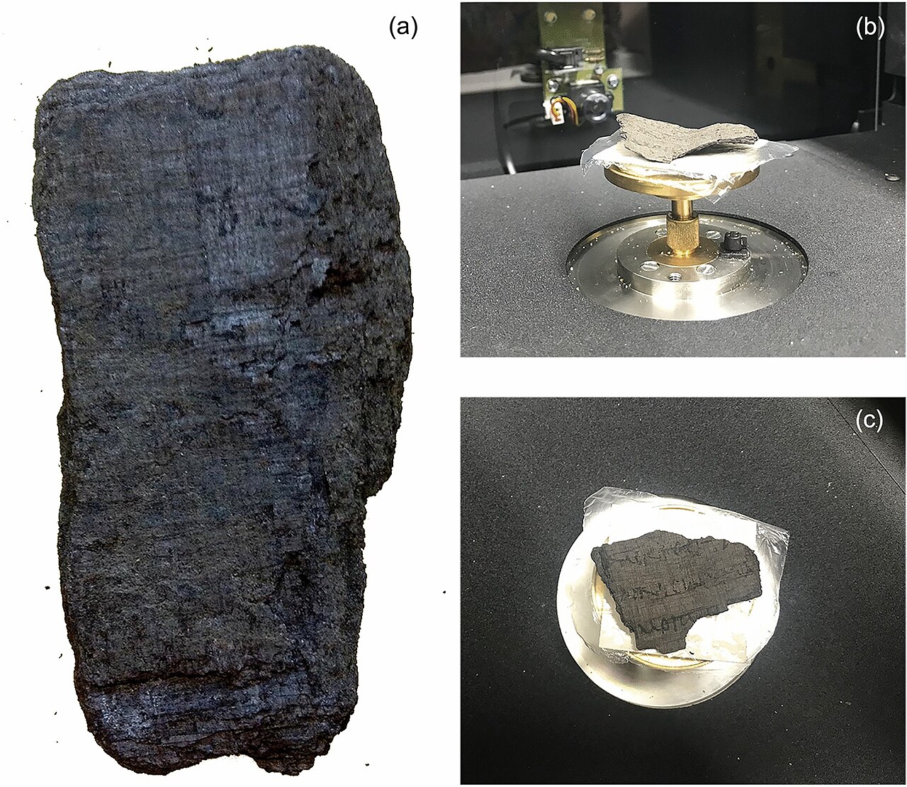 Carbonized Herculaneum papyrus fragments (PHerc. 1103 and PHerc. 110): the class of sealed rolls Vesuvius Challenge reads without opening