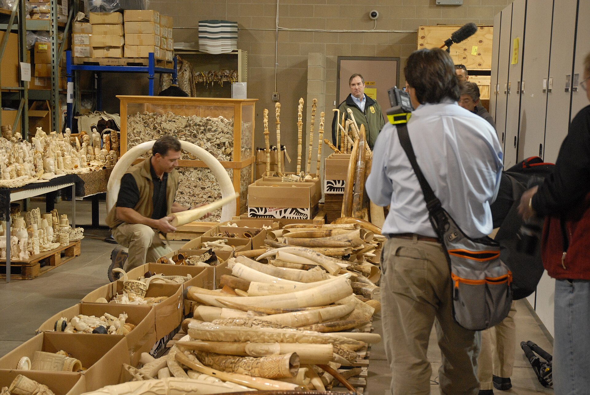 Seized elephant ivory stacked in a warehouse for destruction: illegal wildlife product of the kind the Lacey Act is written to keep out of U.S. commerce