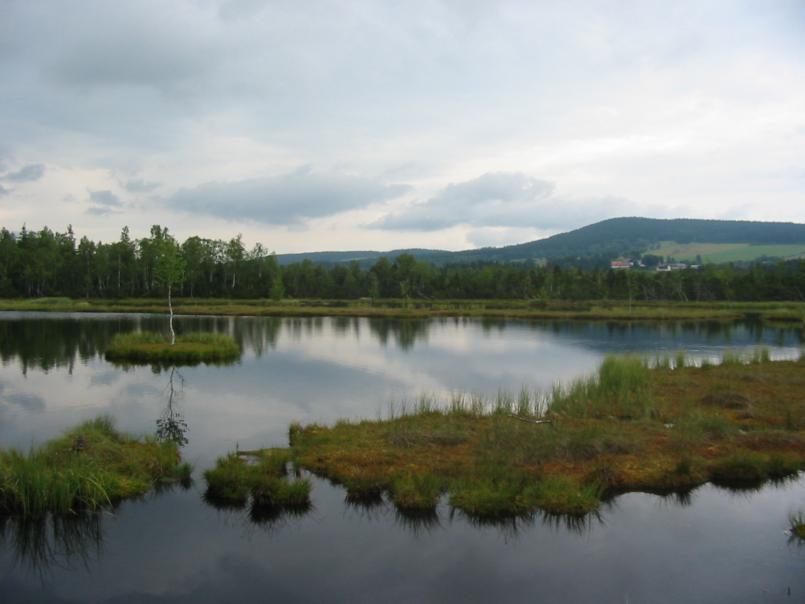 A peat bog with open water and low vegetation: the kind of wetland habitat EU restoration targets cover