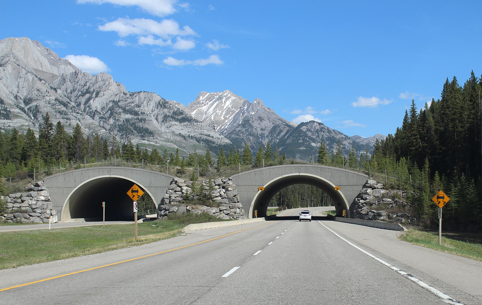 A vegetated wildlife overpass: the kind of crossing corridor bills try to legalise and fund