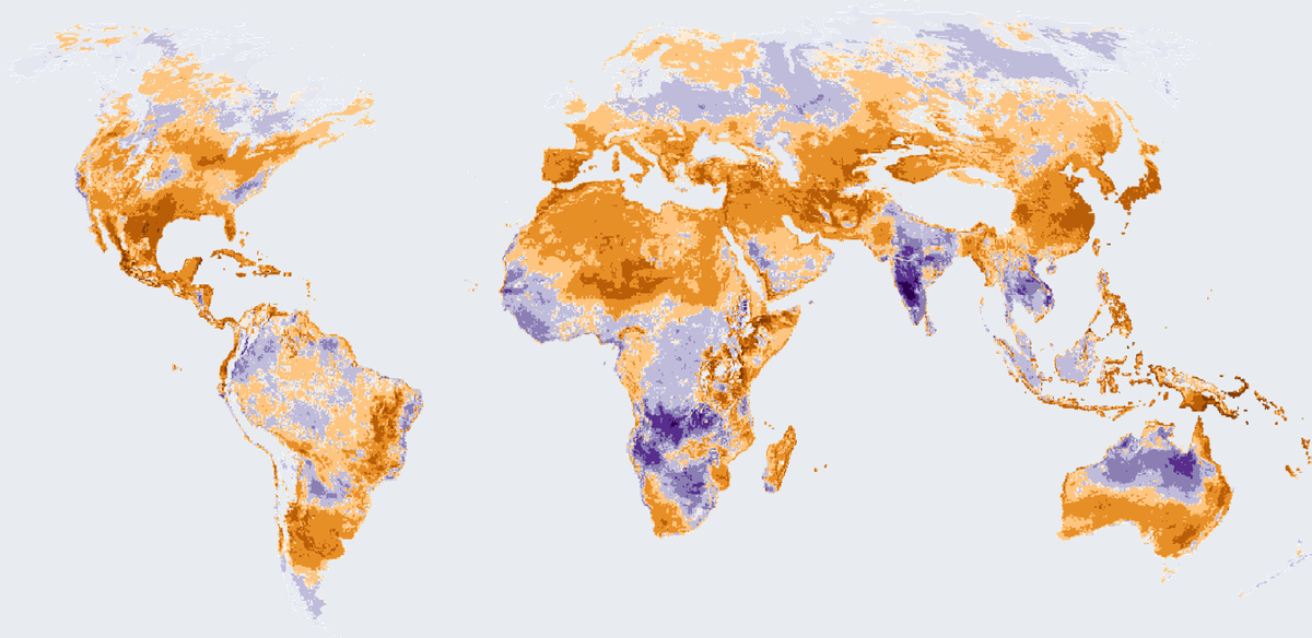 World map of the 2025 change in days with strong outdoor heat stress. Brown and orange mark more days than average, purple marks fewer days, and Antarctica is blank.
