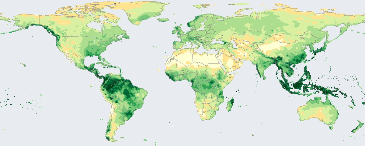 World map of total precipitation on land in 2024. Wet tropics are dark green, deserts are pale yellow, and the ocean is light grey-blue.