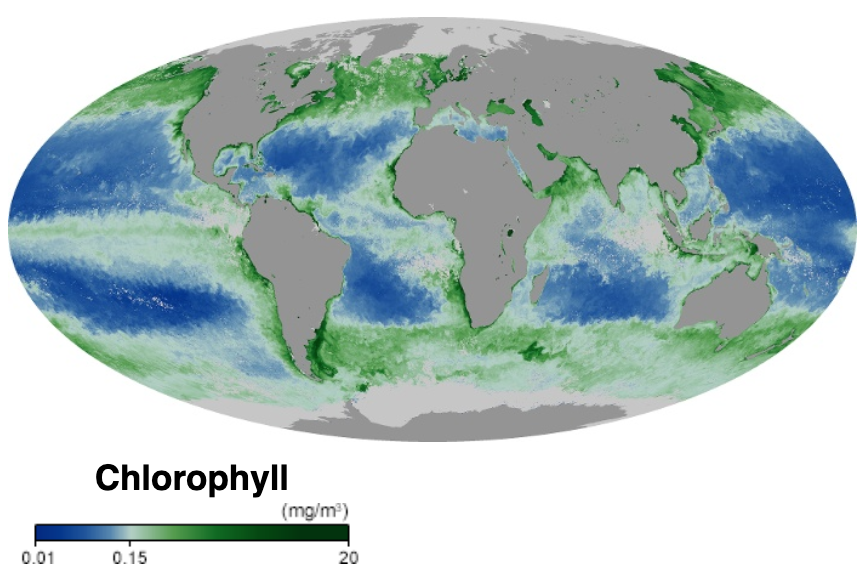 Mollweide world map of ocean chlorophyll: blue gyres, green coasts and high latitudes, gray land