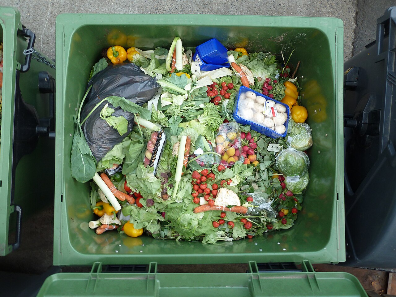 Fresh vegetables and fruit discarded from a hypermarket after one or two days on the shelves.