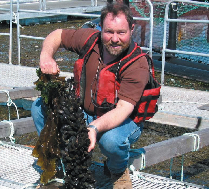 Blue mussels grown at an integrated multi-trophic aquaculture site in the Bay of Fundy, Canada