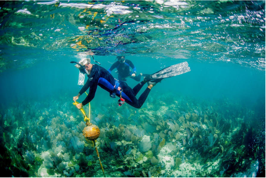 Mooring-buoy team of the Florida Keys National Marine Sanctuary working from a small boat
