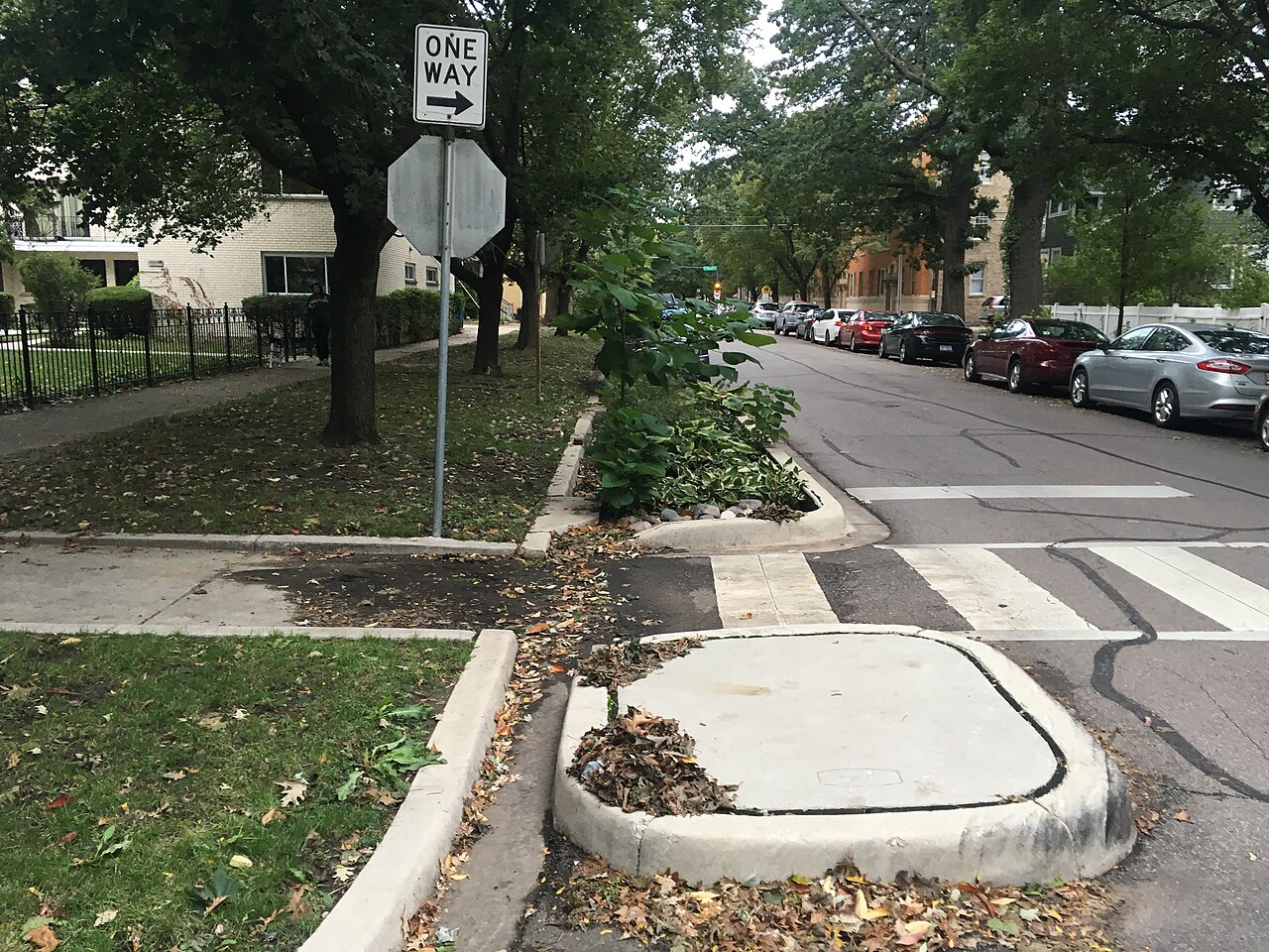 A planted street bioswale and curb extension with cutouts catching runoff beside parked cars