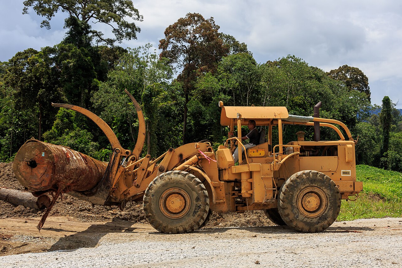 A yellow loader carrying a log at a timber camp in Tawau District, Sabah, with forest behind