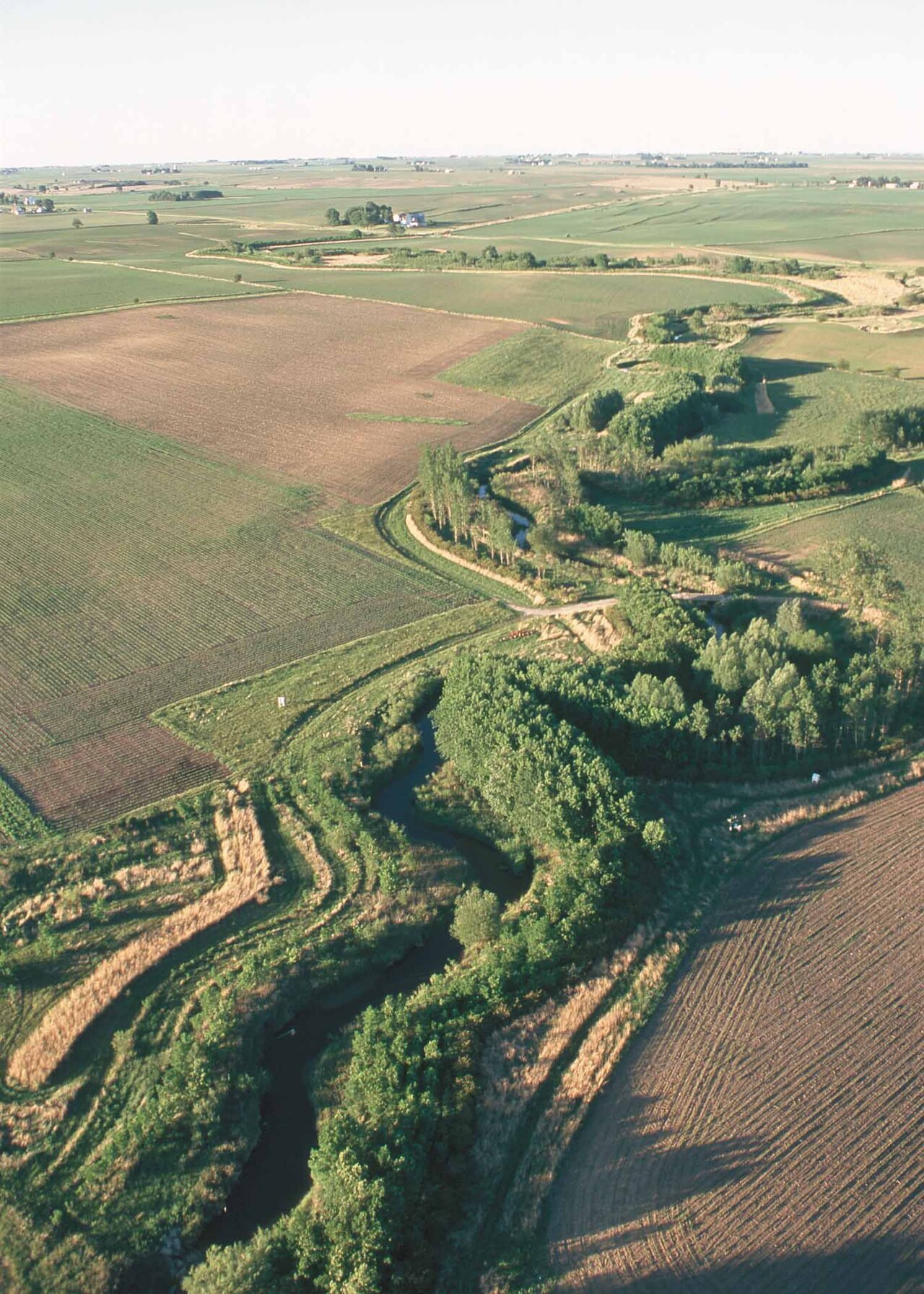 Aerial view of a wooded riparian buffer along a winding creek through farmland in Story County, Iowa