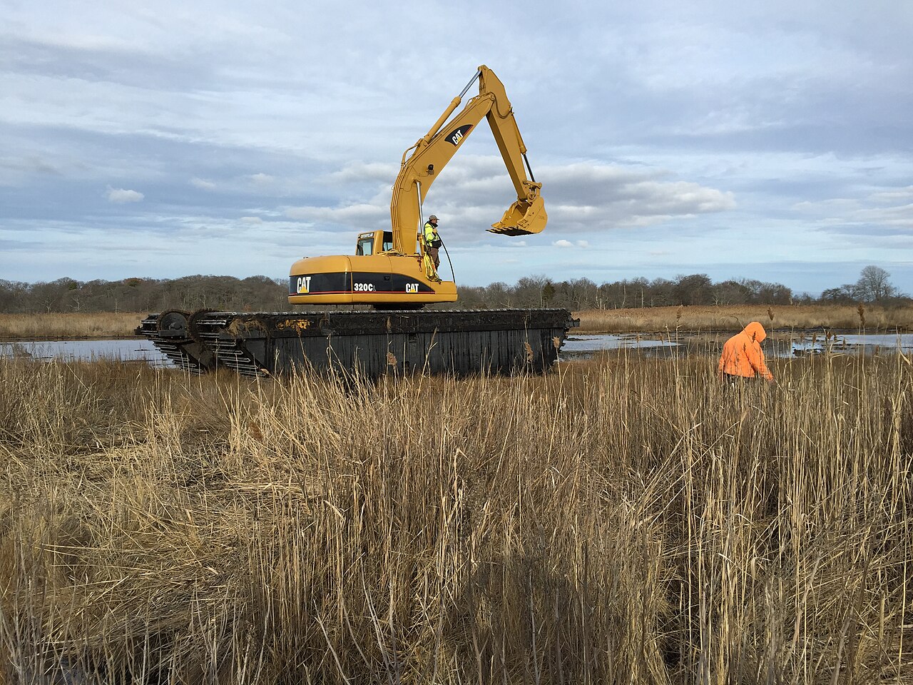 An excavator working a tidal channel through Spartina marsh at Seatuck National Wildlife Refuge