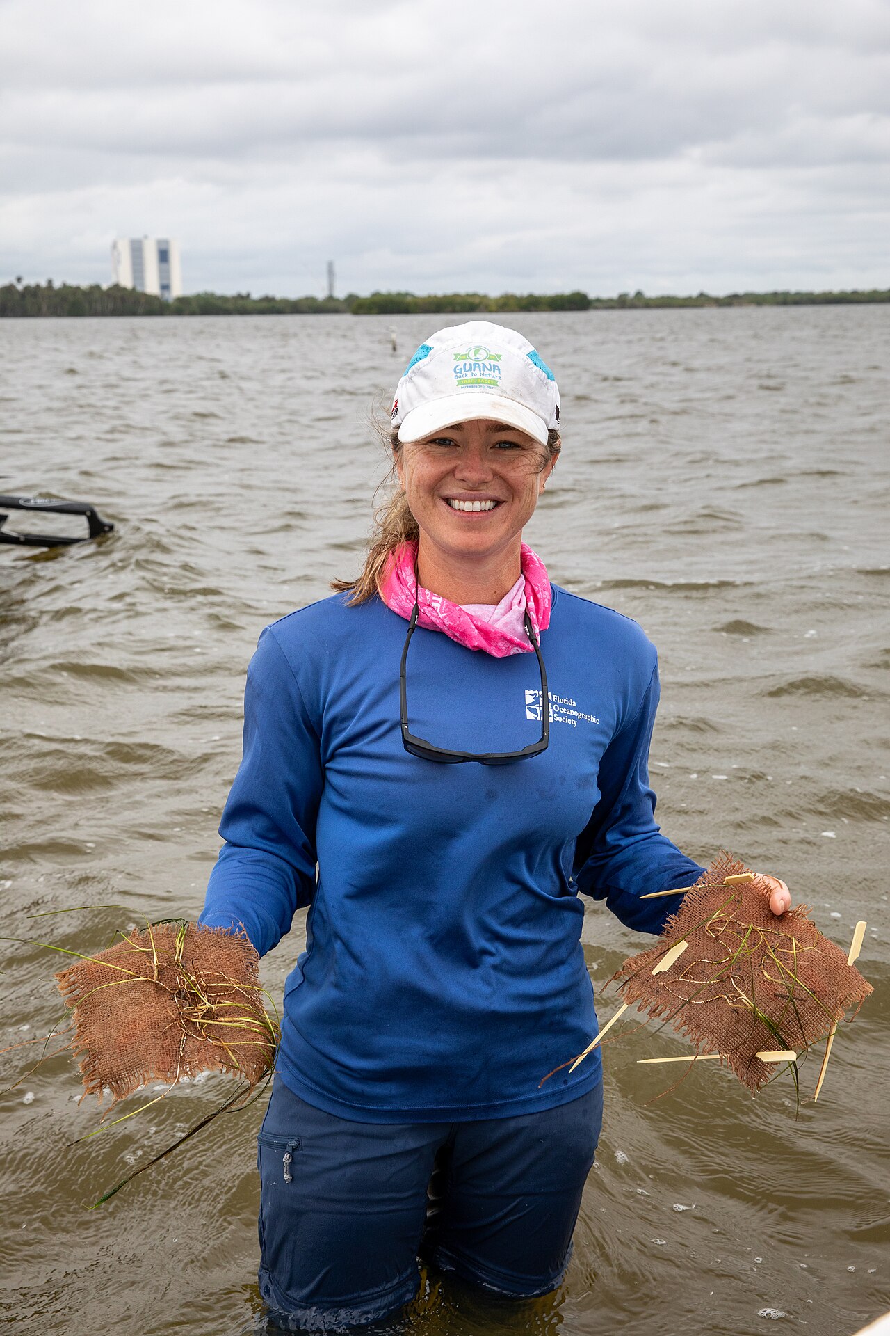 Workers in a shallow Florida lagoon planting seagrass plugs during a NASA Kennedy restoration project