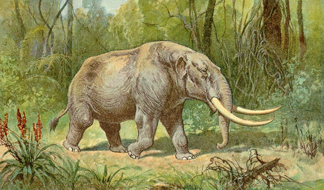 Old colour painting of a mastodon with long tusks walking through a forest