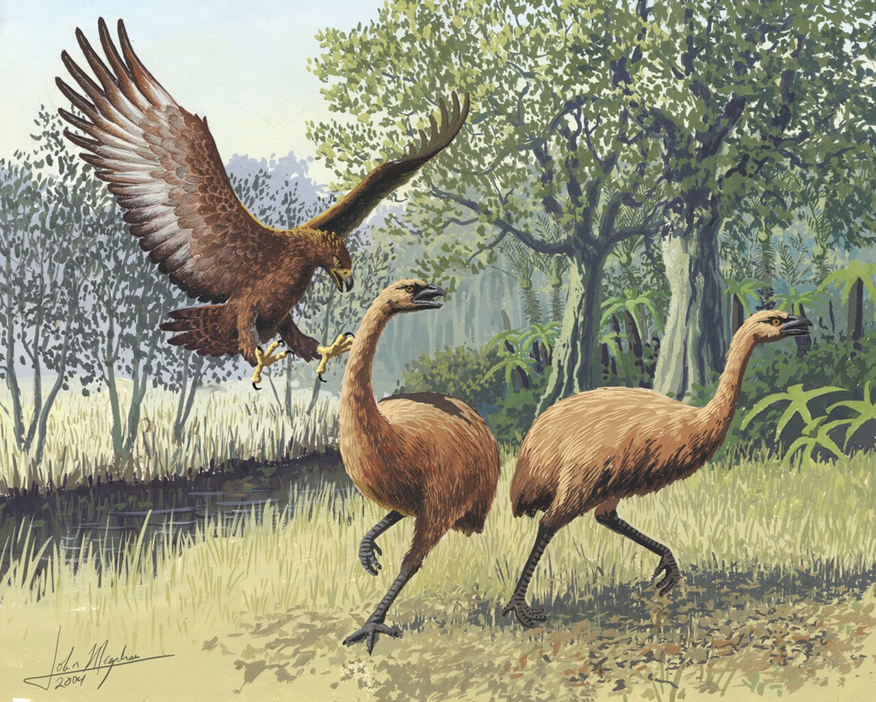 Illustration of a Haast’s eagle striking a giant moa in a New Zealand landscape